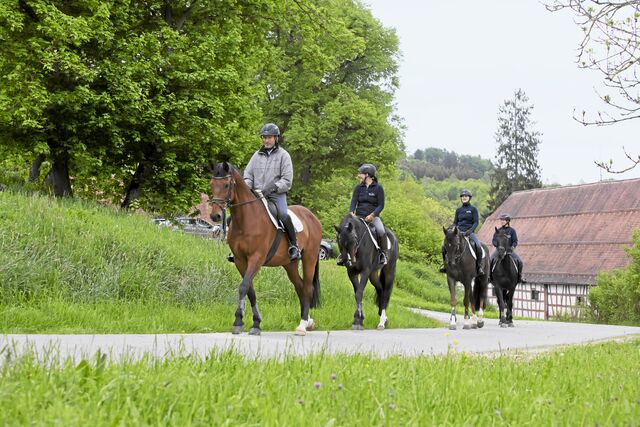 Ausreiten Sicher Reiten Im Gelände Rittigkeit Reitwege Ausrüstung Cavallode 2735