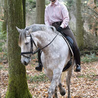 CAV Geländelektionen 01 Wald