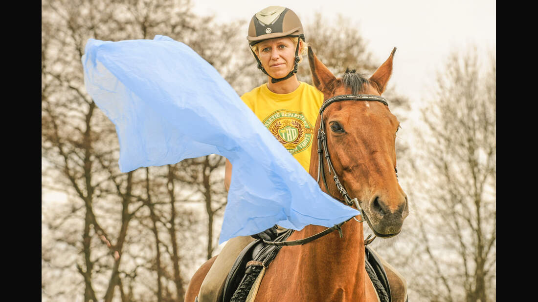 CAV Gelassenheit Pferd Schreckhaftig