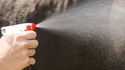 CAV Gift in Pflegemitteln Teaser Spray
