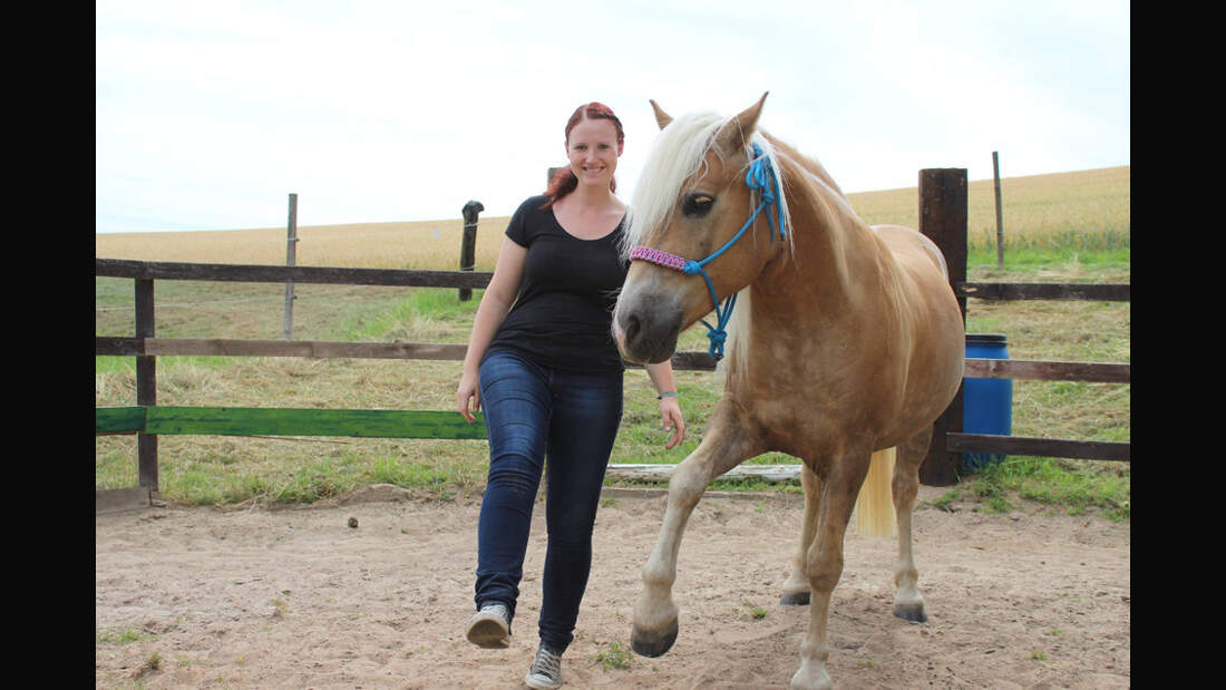 CAV Haflinger Leserfotos Lena