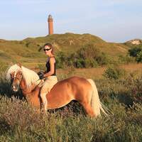 CAV Haflinger Norderney04 (jpg)