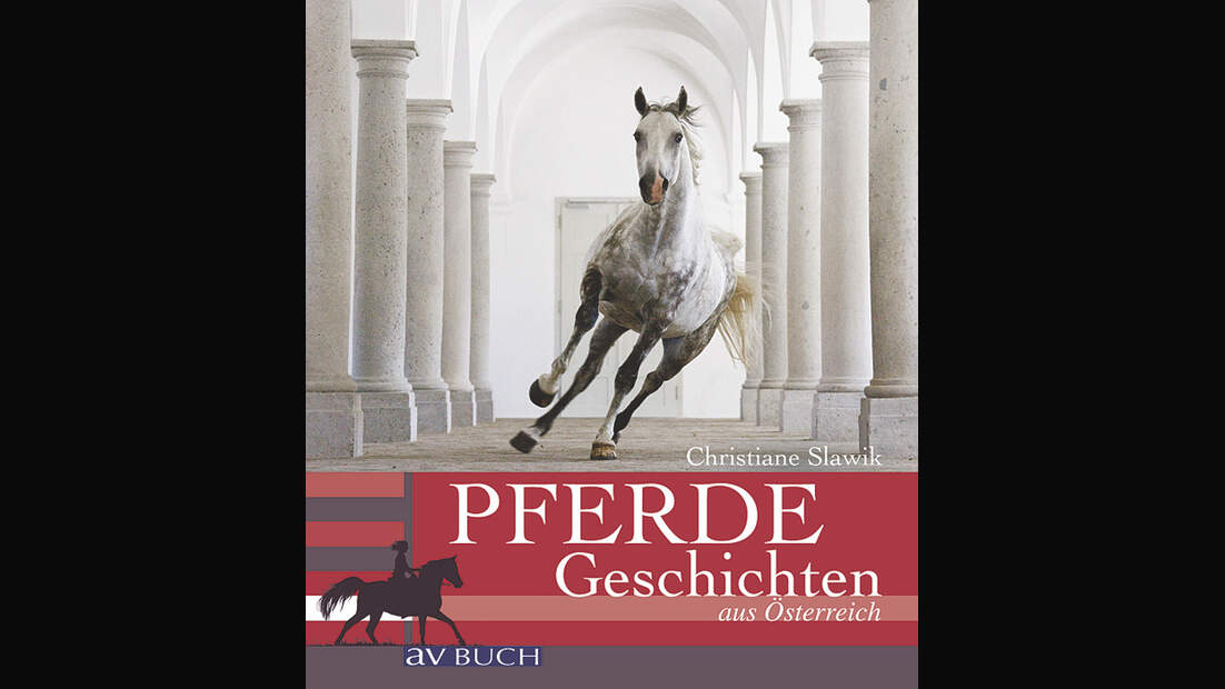 CAV Heft12_2009_Lust-auf-Lesen_Pferdegeschichten (jpg)