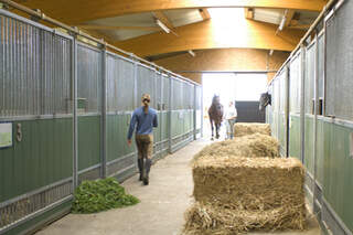 CAV Heu Stroh Gras Stallgasse