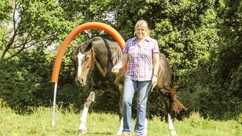 CAV Horse Agility Aufmacher