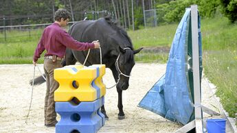 CAV Horsemanship Arien Aguilar