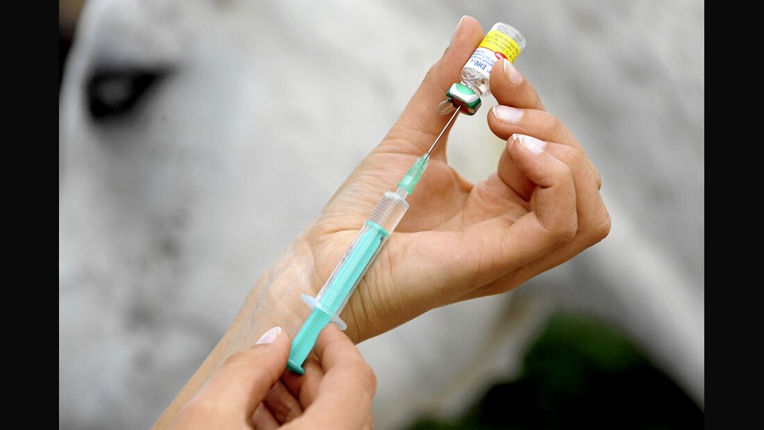 CAV Impfen Aufmacher