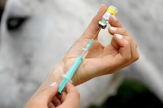 CAV Impfen Aufmacher
