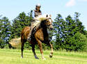 CAV Intervalltraining Aufmacher