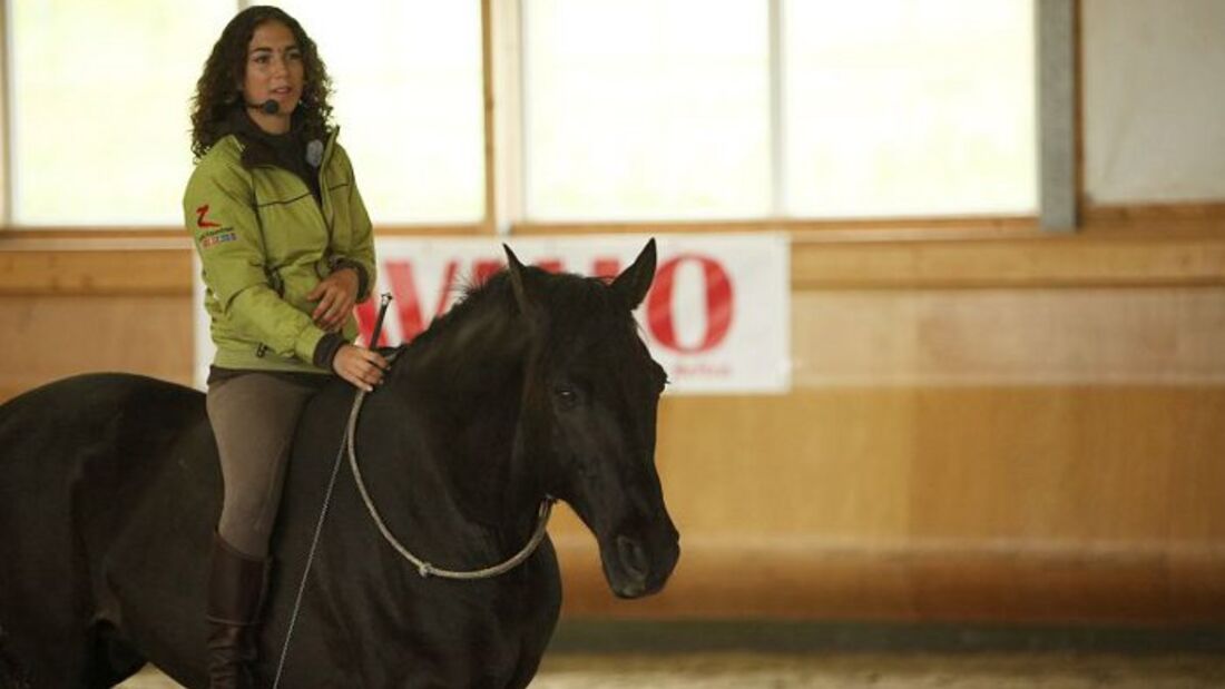 CAV Kenzie Dysli  Freiheitsdressur Horsemanship Halsring Academie
