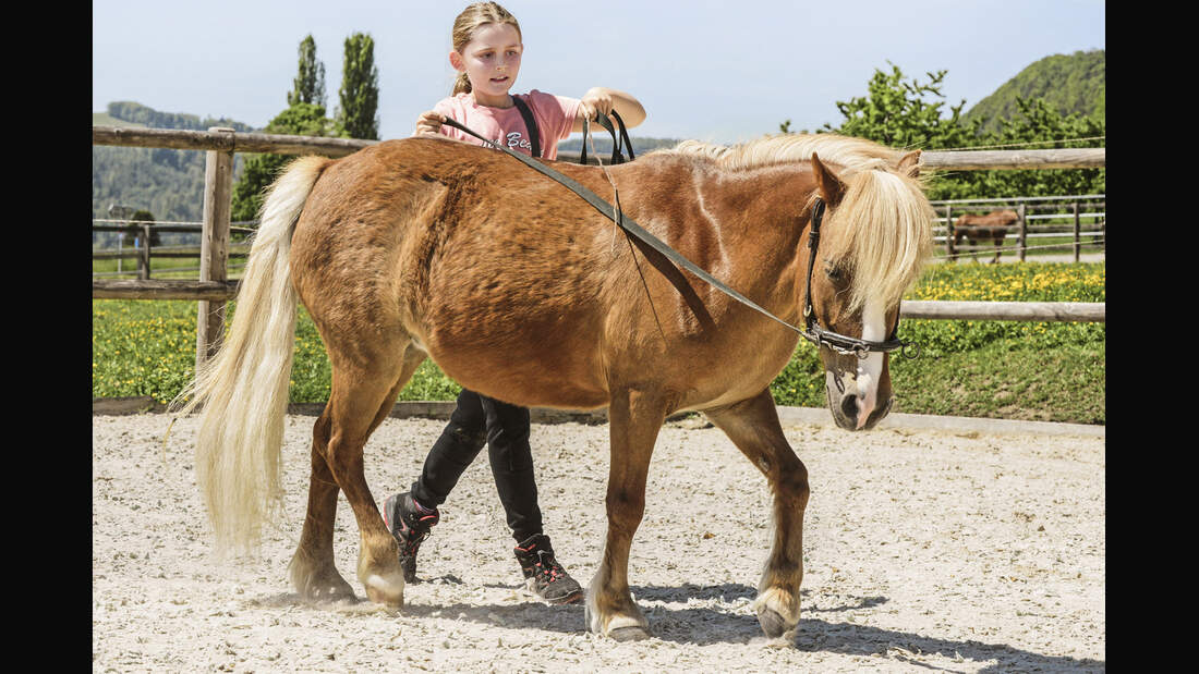 CAV Kinderreitschule Schweiz 8