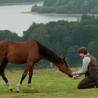 CAV Kino Gefährten Warhorse Film MS_10