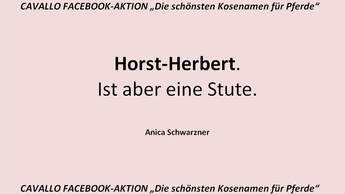 CAV Kosenamen Leserfotos 2014 - Horst-Herbert