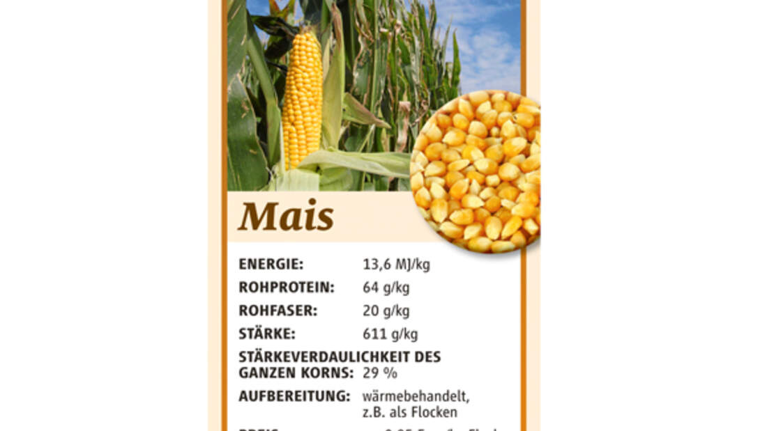 CAV Kraftfutter Hafer Mais Gerste Müsli - Mais