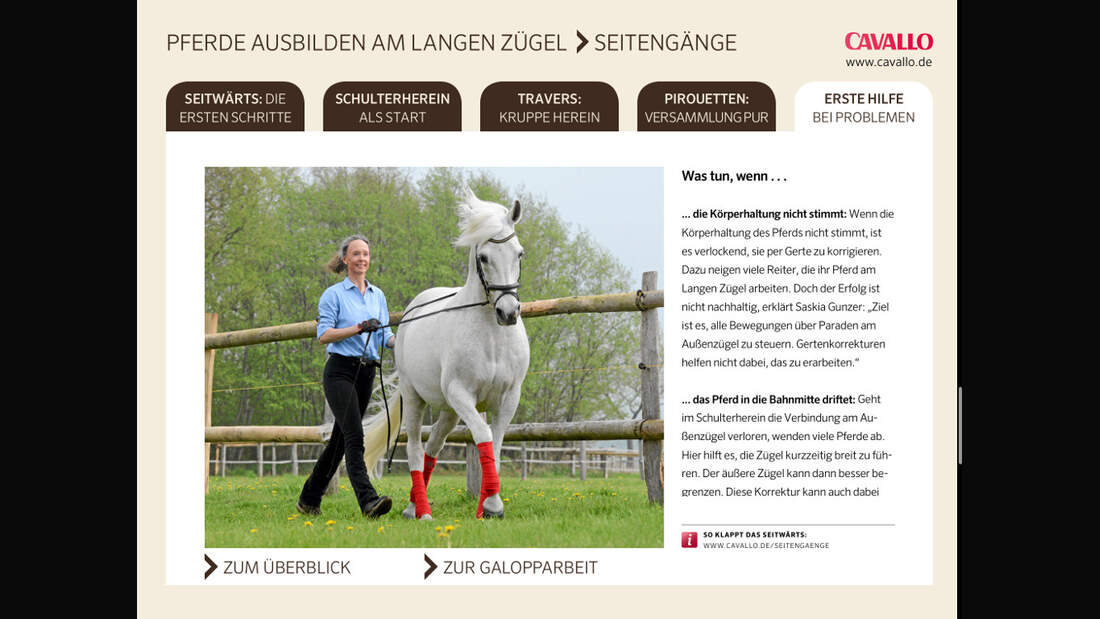 Gute Zügelhaltung für Reiter so geht's cavallo.de