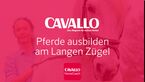 CAV Langzügel Langer Zügel App iTunes