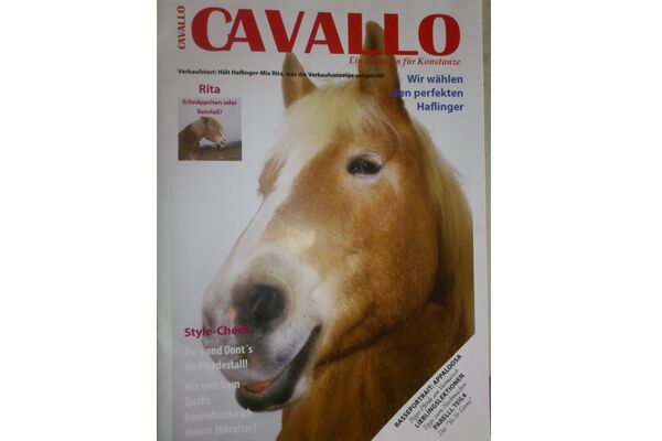 CAV Leser baut Cavallo nach 1