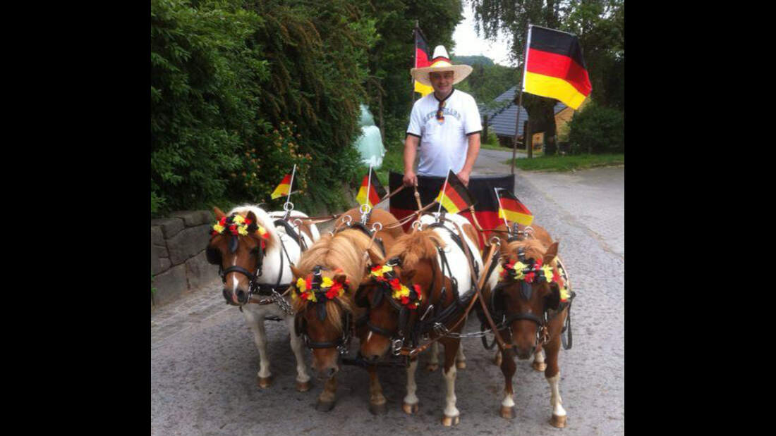 CAV-Leseraktion-Fussball-WM-2014-Anne-Biesenbach (jpg)