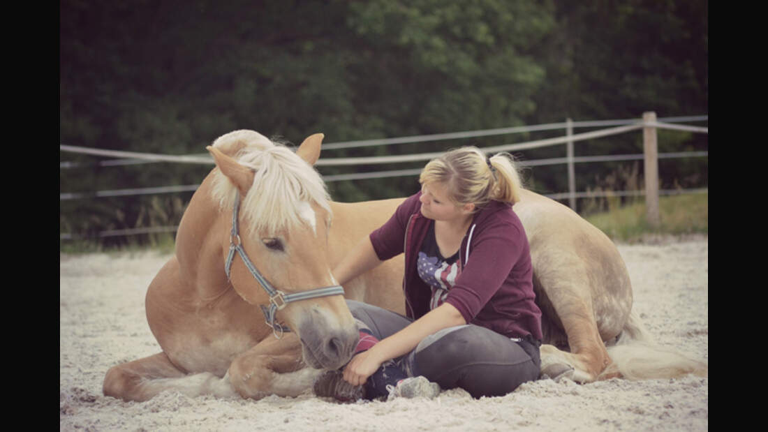 CAV-Leserfoto-Haflinger-Nina-P