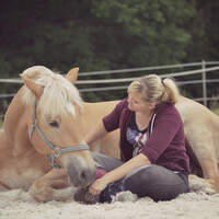 CAV-Leserfoto-Haflinger-Nina-P