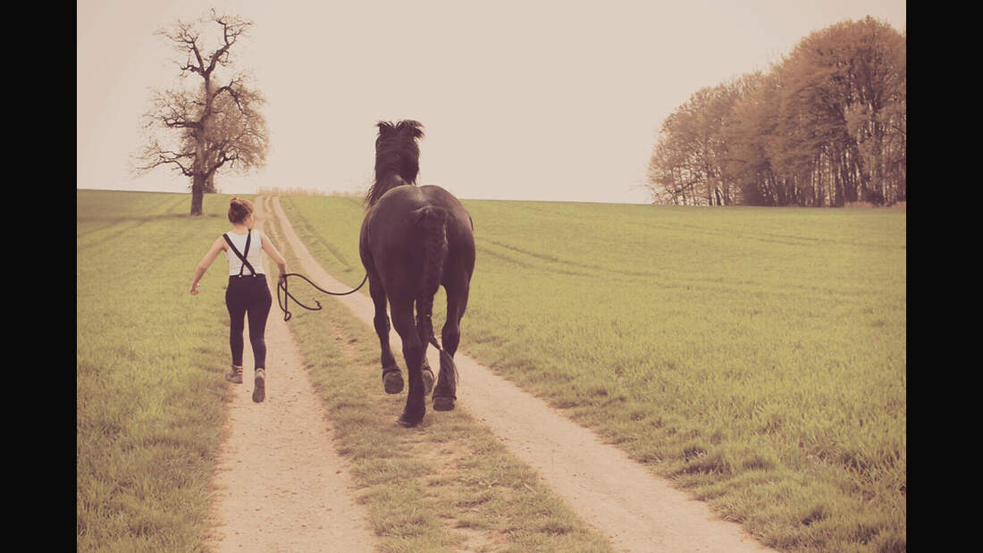 CAV Leserfotos Friesen Rasse Julia Sophie Schaufler