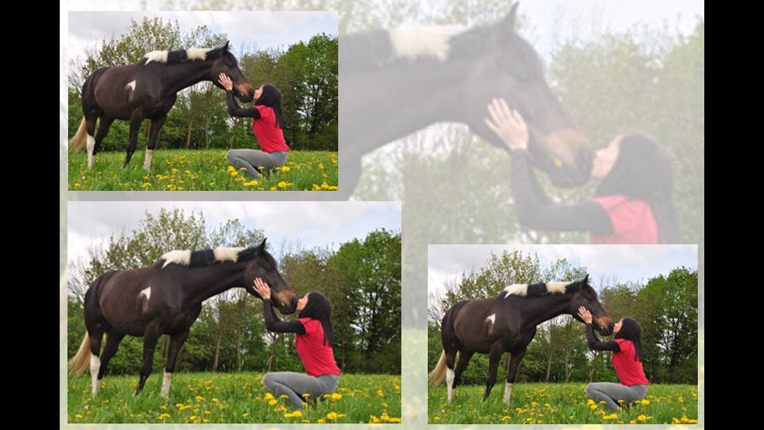 CAV Leserfotos Schmuse-Bilder Nadine Strohmeyer