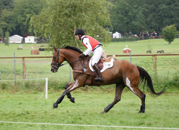 CAV Luhmühlen Vielseitigkeit Europameisterschaft Michael Jung