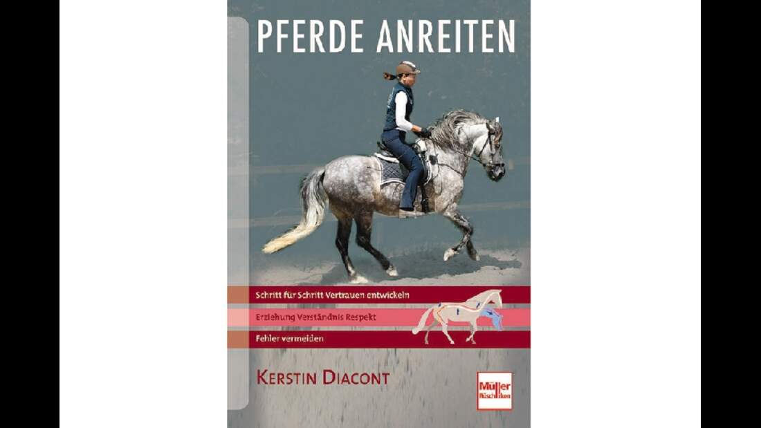 CAV_Lustauflesen_0411_LaL_Pferdeanreiten (jpg)