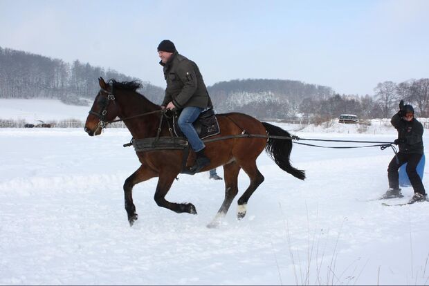 CAV MS Pferde im Winter_2 (jpg)