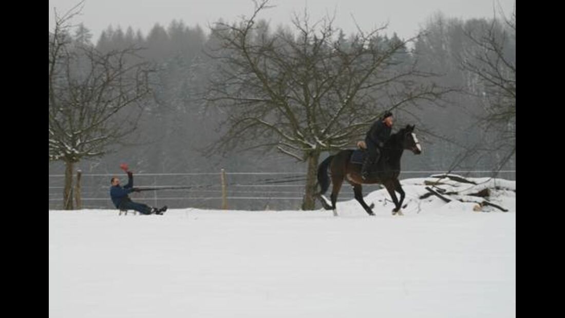 CAV MS Pferde im Winter_6_Mail (jpg)