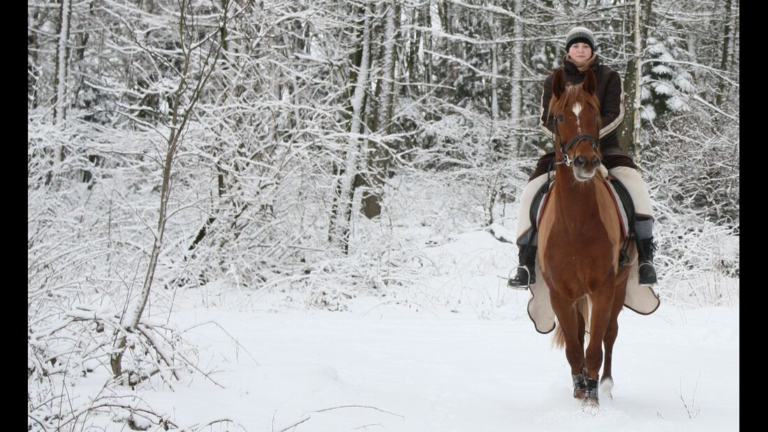 CAV MS Pferde im Winter_calli16 (jpg)
