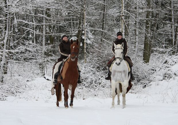 CAV MS Pferde im Winter_mit Calista und Daktylus im Schnee (jpg)