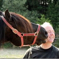 CAV Maenner lieben Pferde Dieter Bierwolf