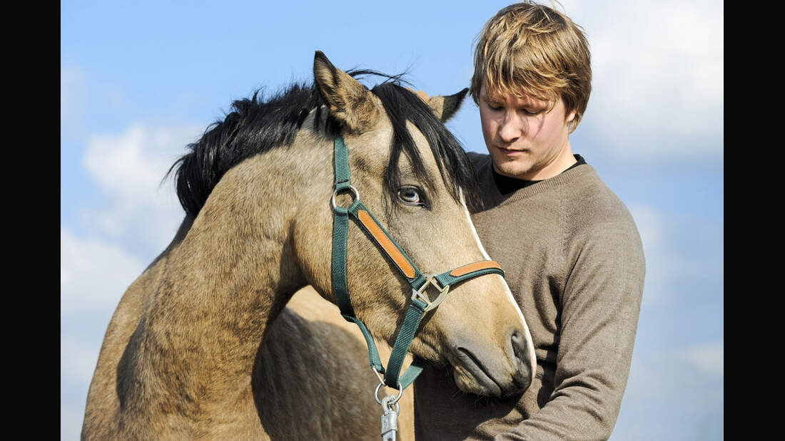 CAV Mann mit Pferd