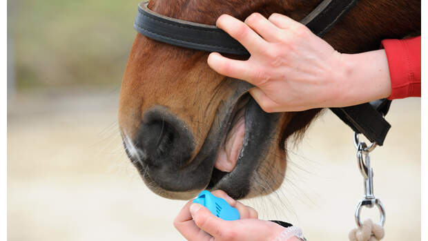 CAV Medical Training 9