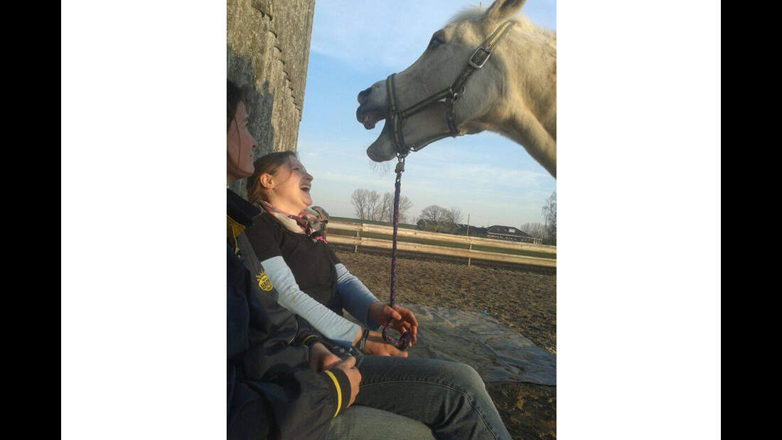 CAV Mimik Grimassen Leserfotos Anika Laura Gies