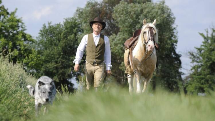 Trau Dich Reiten Mit Halsring Cavallo de