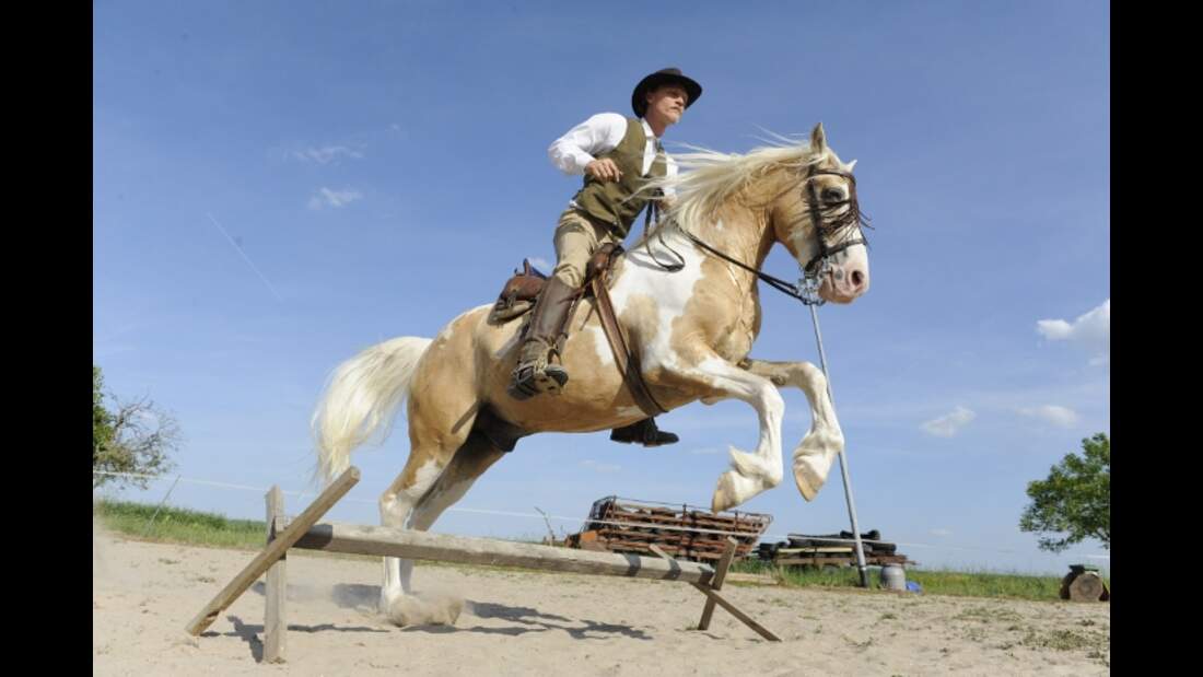 Trau Dich Reiten Mit Halsring Cavallo de