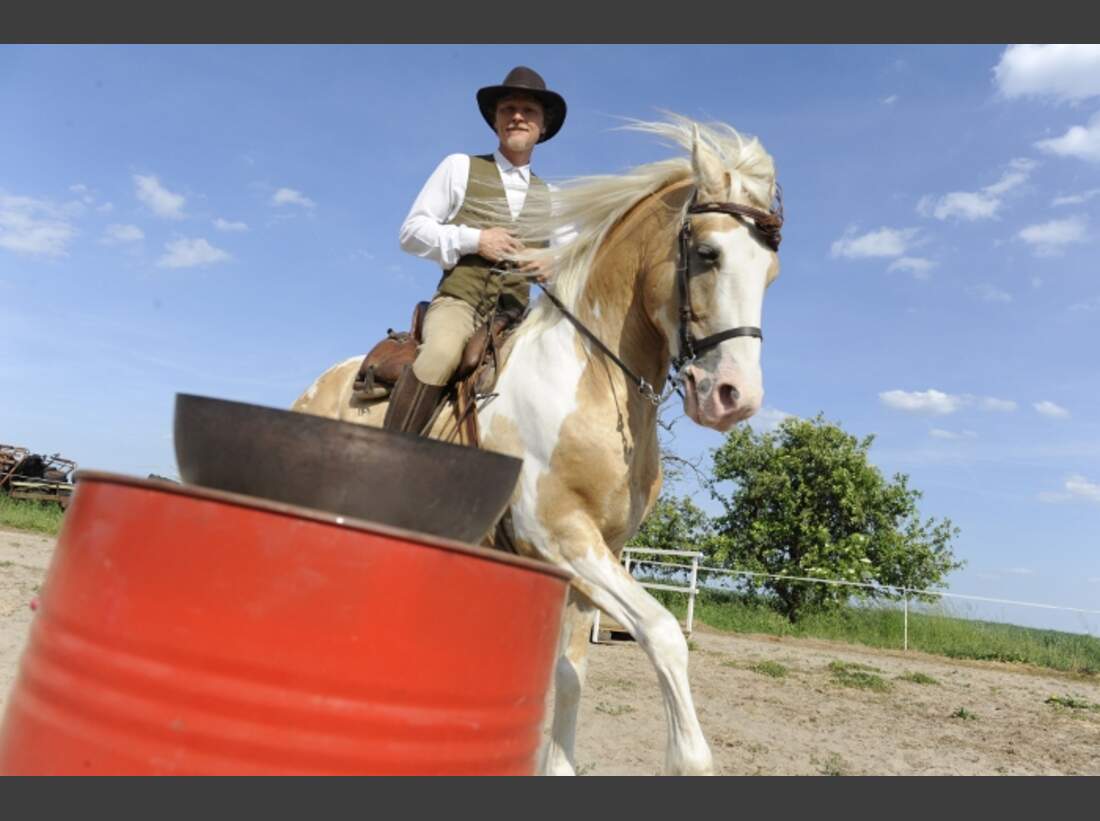 Trau Dich Reiten Mit Halsring Cavallo de