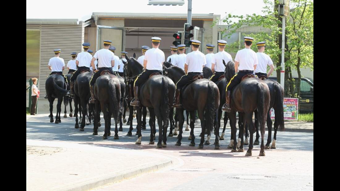 CAV Mounties Royal Canadian Mounted Police RCMP MS