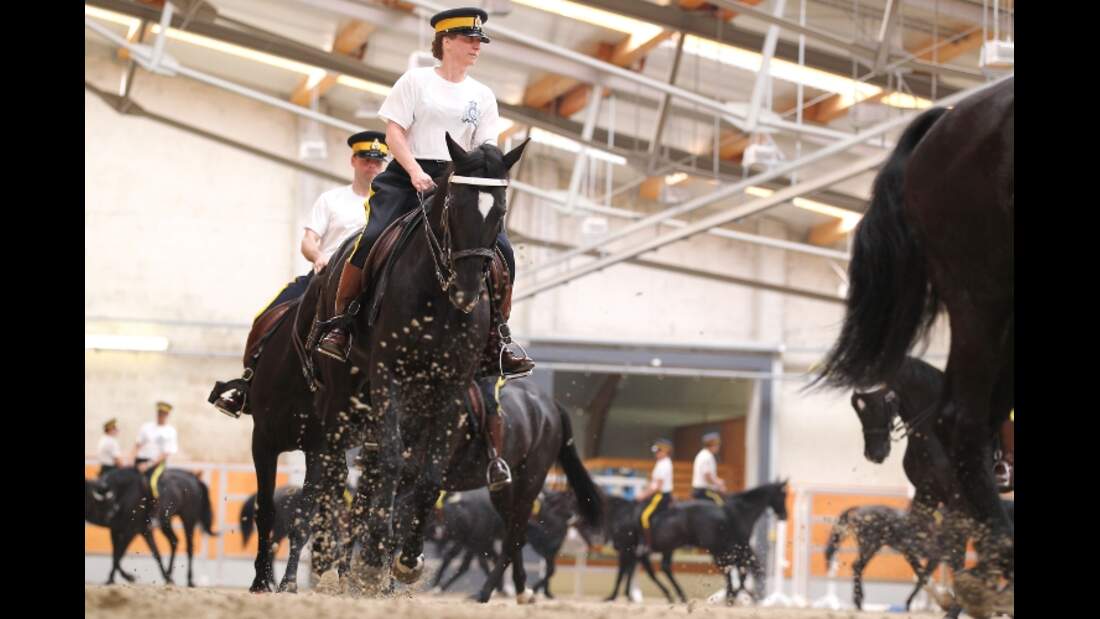 CAV Mounties Royal Canadian Mounted Police RCMP MS