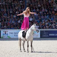 CAV Mustang Makeover Maja Hegge Taipa