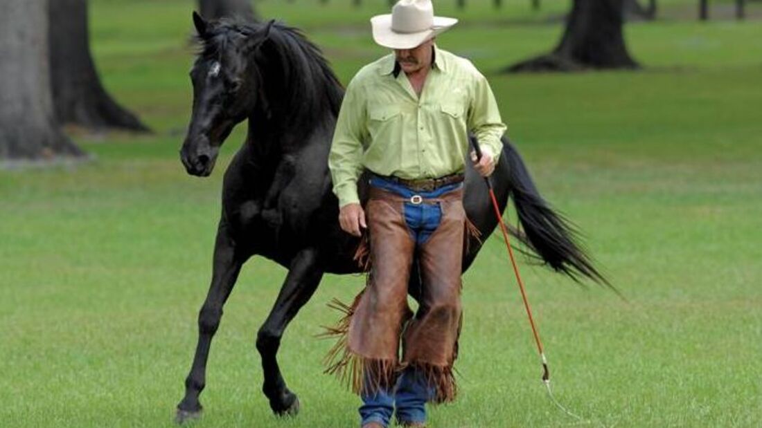 CAV Pat Parelli Natural Horsemanship