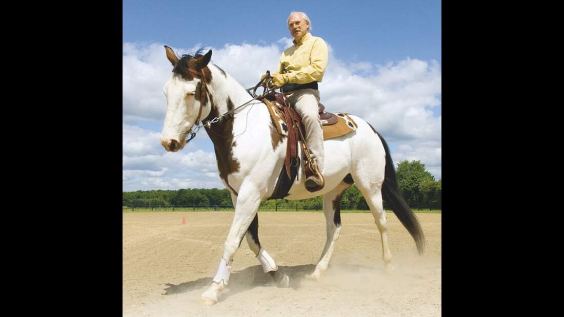 CAV Peter Kreinberg Zügelmessung 02