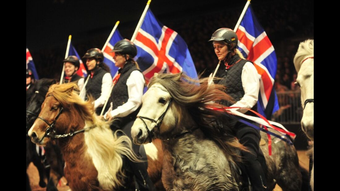 CAV Pferd & Jagd 2012 Isländer