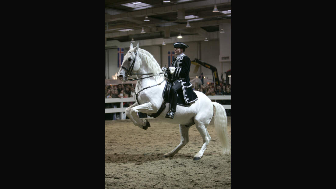CAV Pferd & Jagd 2012 Show