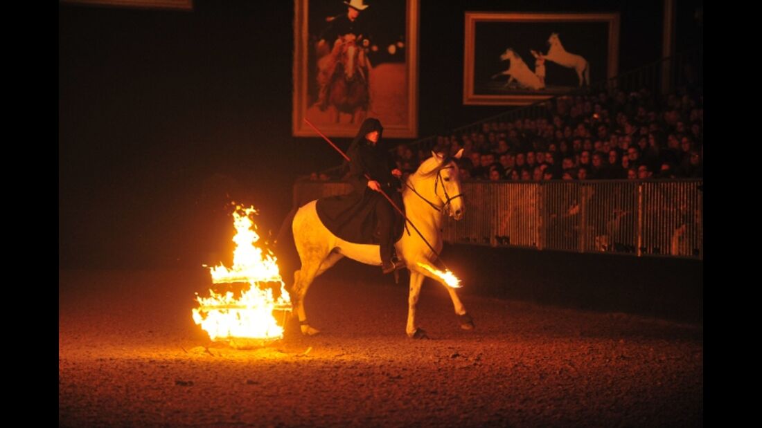 CAV Pferd & Jagd 2012 Show