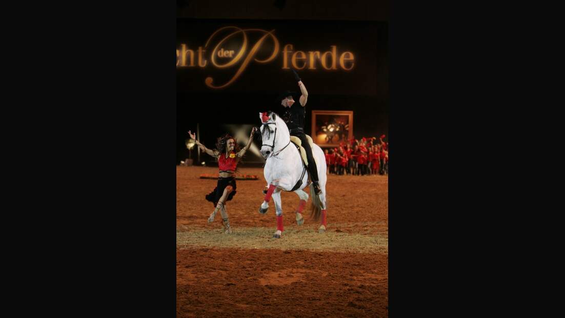 CAV Pferd & Jagd 2012 Show Jubin