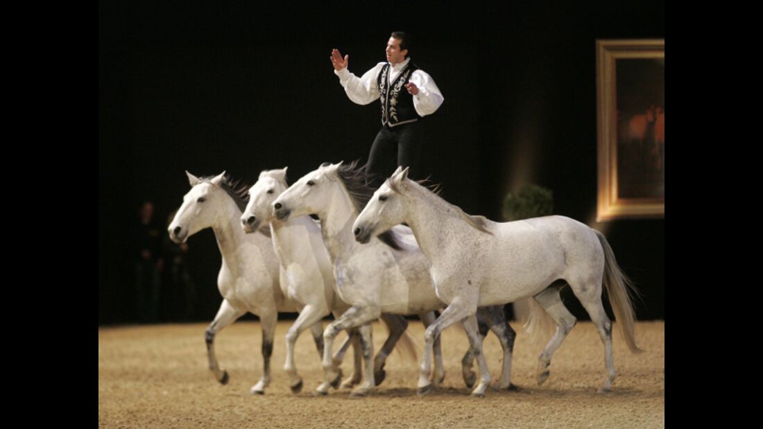 CAV Pferd & Jagd 2012 Show Lorenzo