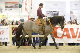 CAV Pferd Jagd Arien Aguilar